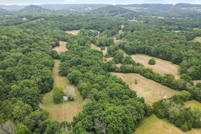 6770 Bly Trice Rd, College Grove, TN 37046 - photo 24