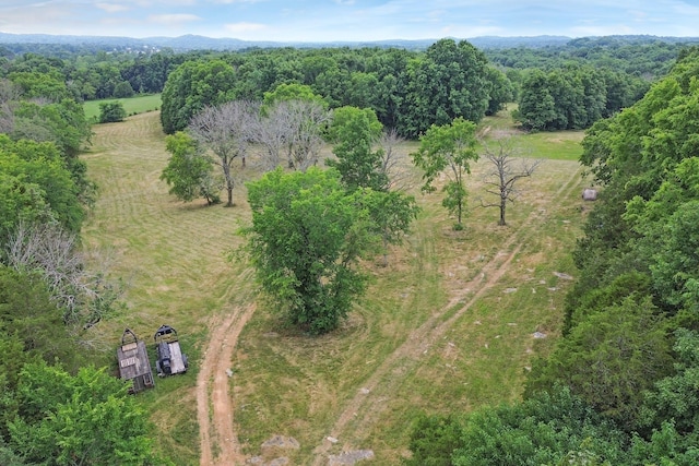 6770 Bly Trice Rd, College Grove, TN 37046 - photo 45