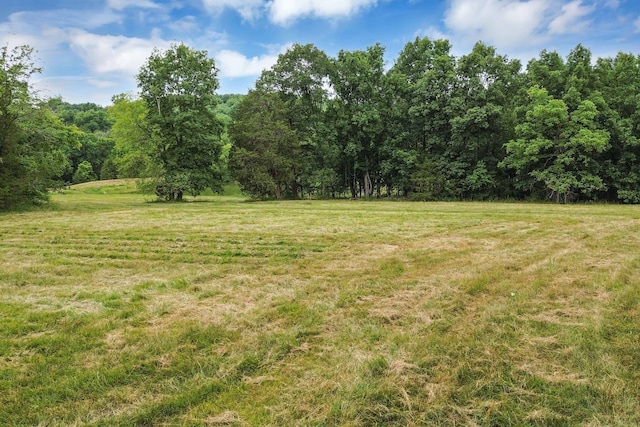6770 Bly Trice Rd, College Grove, TN 37046 - photo 35