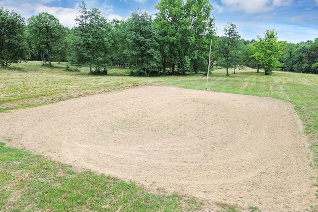6770 Bly Trice Rd, College Grove, TN 37046 - photo 30