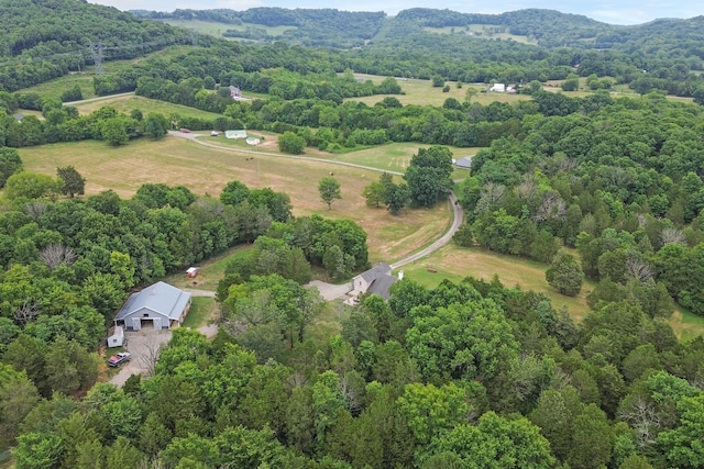 6770 Bly Trice Rd, College Grove, TN 37046 - photo 47