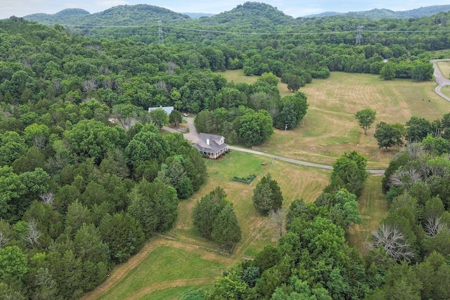 6770 Bly Trice Rd, College Grove, TN 37046 - photo 46