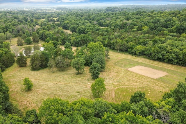 6770 Bly Trice Rd, College Grove, TN 37046 - photo 25