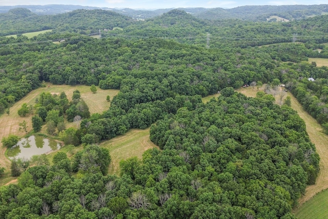 6770 Bly Trice Rd, College Grove, TN 37046 - photo 40
