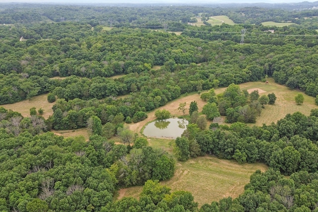 6770 Bly Trice Rd, College Grove, TN 37046 - photo 42