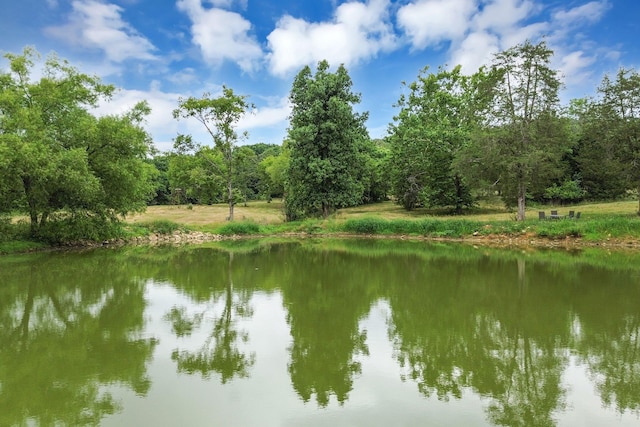 6770 Bly Trice Rd, College Grove, TN 37046 - photo 26