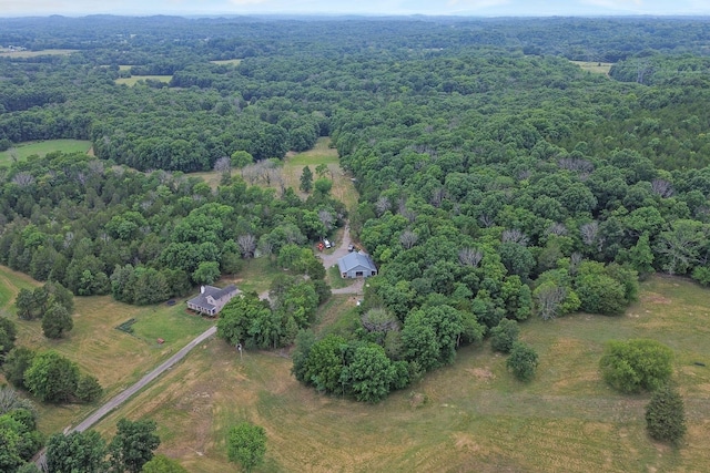 6770 Bly Trice Rd, College Grove, TN 37046 - photo 48