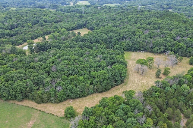 6770 Bly Trice Rd, College Grove, TN 37046 - photo 43