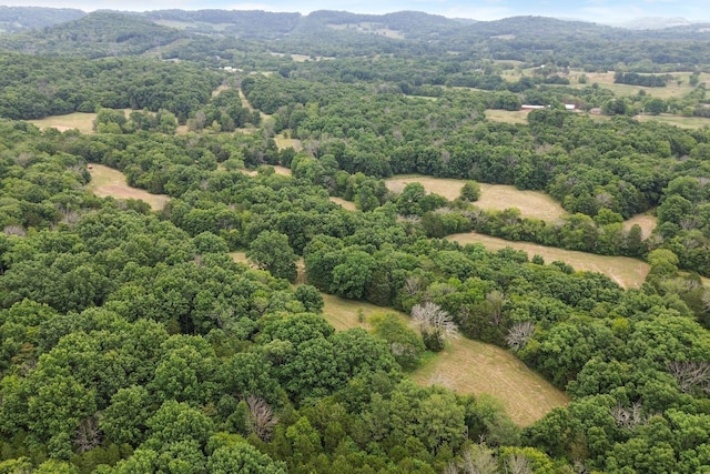 6770 Bly Trice Rd, College Grove, TN 37046 - photo 31
