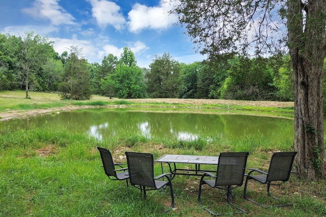 6770 Bly Trice Rd, College Grove, TN 37046 - photo 33