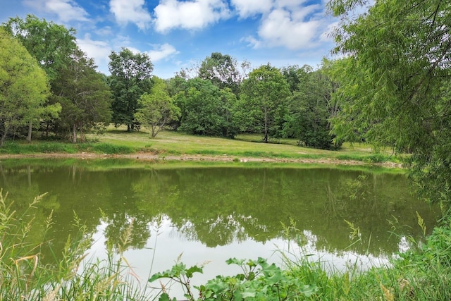6770 Bly Trice Rd, College Grove, TN 37046 - photo 3