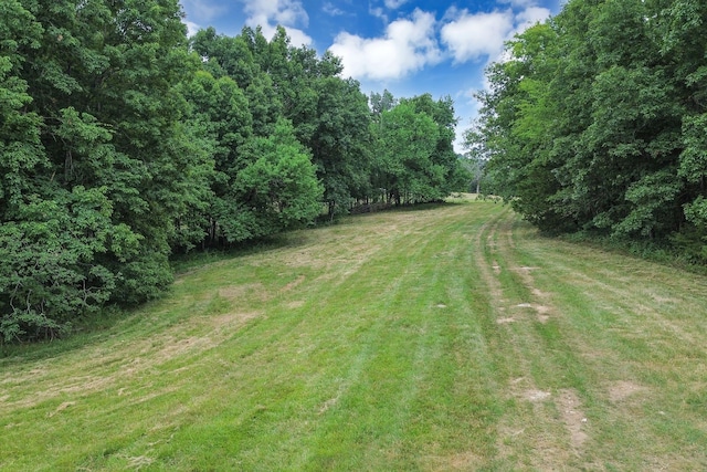 6770 Bly Trice Rd, College Grove, TN 37046 - photo 34