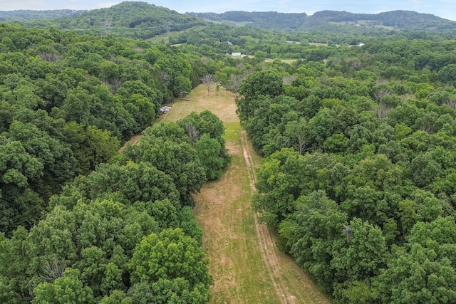 6770 Bly Trice Rd, College Grove, TN 37046 - photo 39
