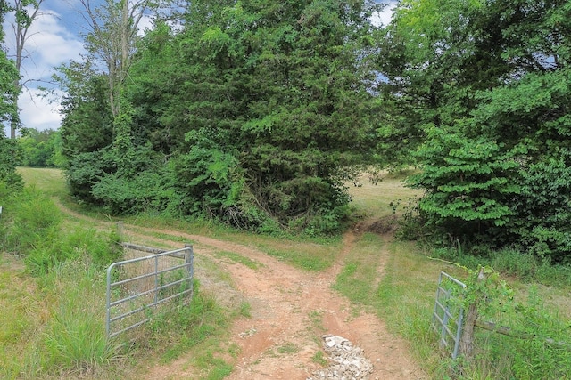 6770 Bly Trice Rd, College Grove, TN 37046 - photo 37