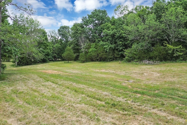 6770 Bly Trice Rd, College Grove, TN 37046 - photo 38