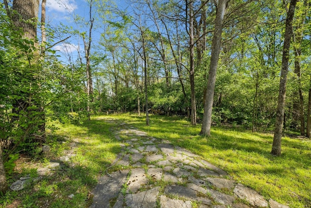 3055 Smith Springs Rd, Antioch, TN 37013 - photo 48