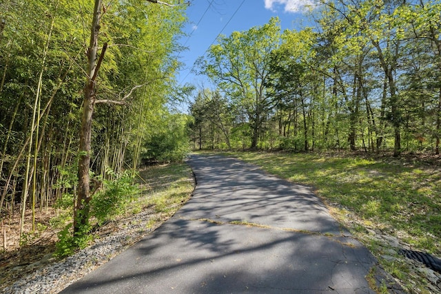 3055 Smith Springs Rd, Antioch, TN 37013 - photo 53
