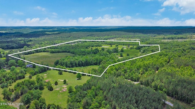 1038 Newton Ln Unit 89, Acres, Crossville, TN 38572 - photo 3