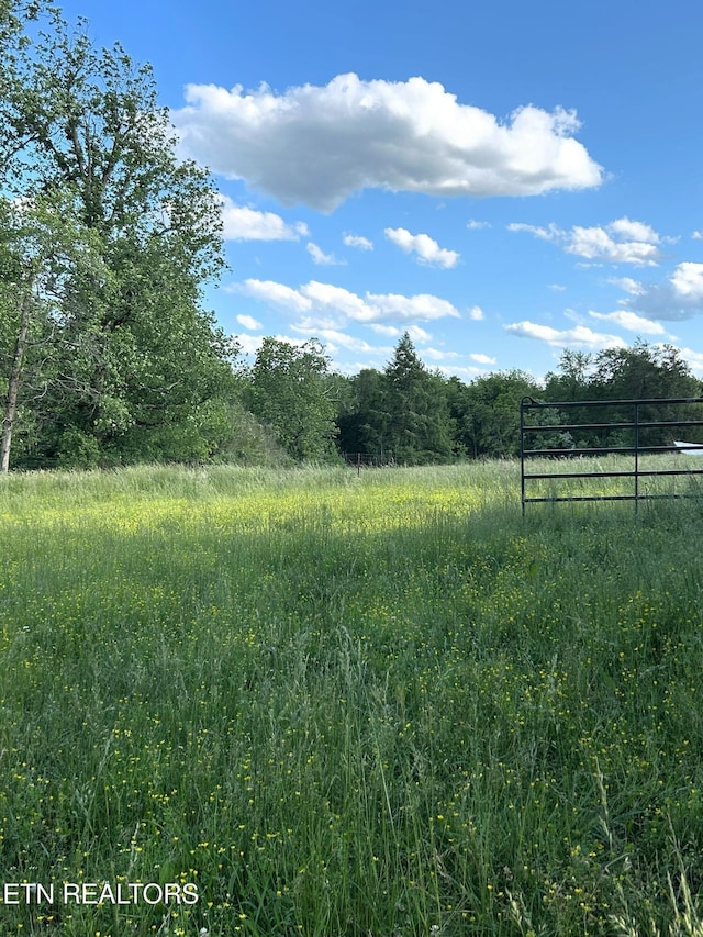 1038 Newton Ln Unit 89, Acres, Crossville, TN 38572 - photo 34