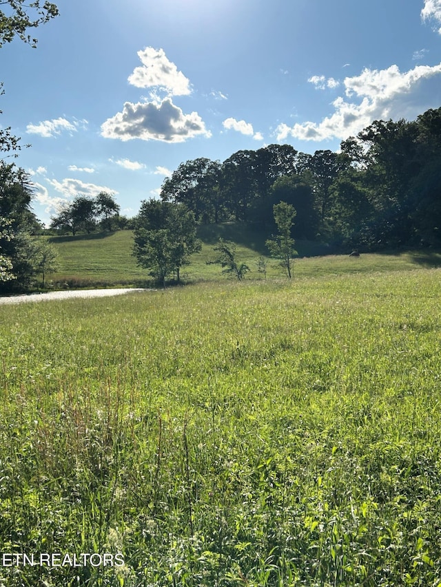1038 Newton Ln Unit 89, Acres, Crossville, TN 38572 - photo 6