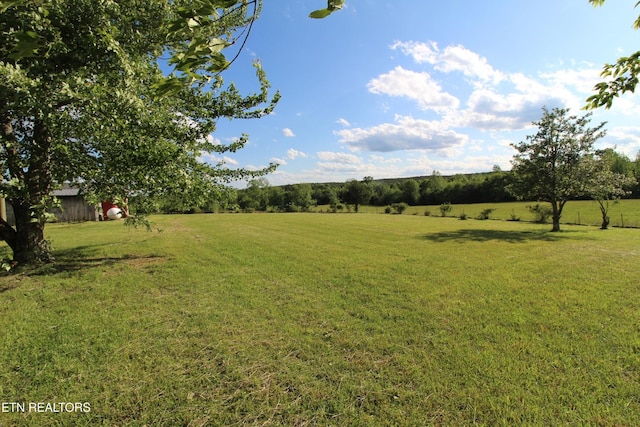 1038 Newton Ln Unit 89, Acres, Crossville, TN 38572 - photo 36