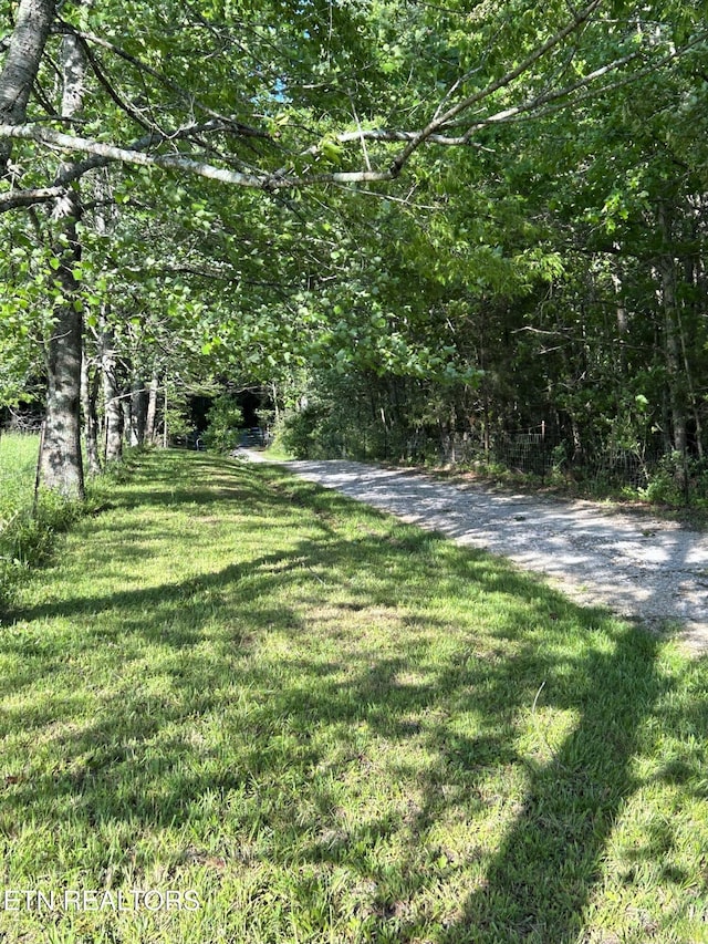 1038 Newton Ln Unit 89, Acres, Crossville, TN 38572 - photo 4