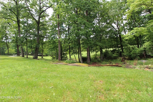 116 Rolling Green Dr, Crossville, TN 38558 - photo 40