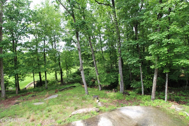116 Rolling Green Dr, Crossville, TN 38558 - photo 6