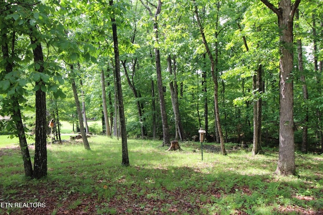 116 Rolling Green Dr, Crossville, TN 38558 - photo 41
