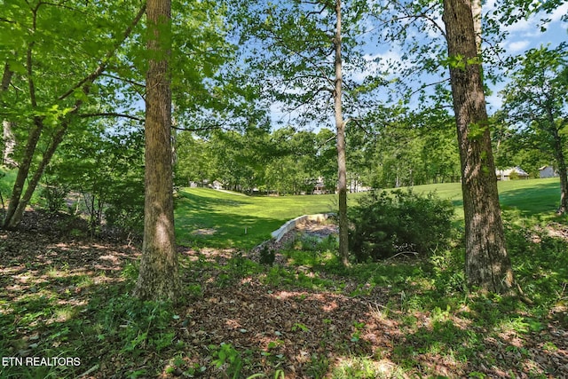 116 Rolling Green Dr, Crossville, TN 38558 - photo 39