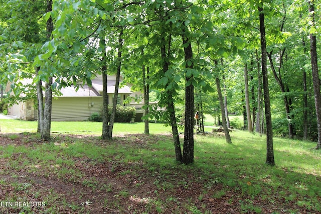 116 Rolling Green Dr, Crossville, TN 38558 - photo 43