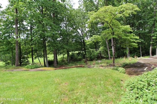 116 Rolling Green Dr, Crossville, TN 38558 - photo 42