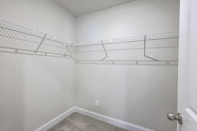 1753 Flora Grv, Hermitage, TN 37076 - spacious closet with carpet