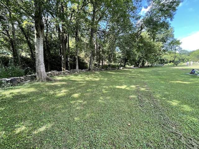3406 Lowes Gap Rd, Pikeville, TN 37367 - view of green lawn