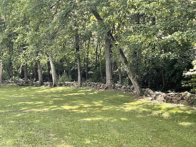 3406 Lowes Gap Rd, Pikeville, TN 37367 - view of green lawn with a view of trees