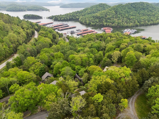 404 Duke Cir, Lancaster, TN 38569 - photo 40