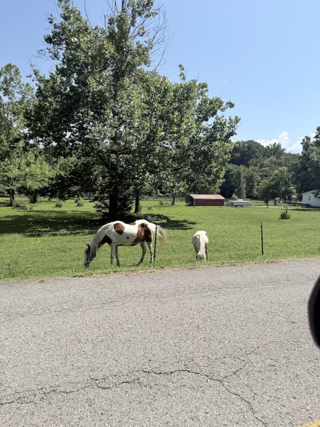 4417 Jackson Hollow Rd, Franklin, TN 37064 - view of road