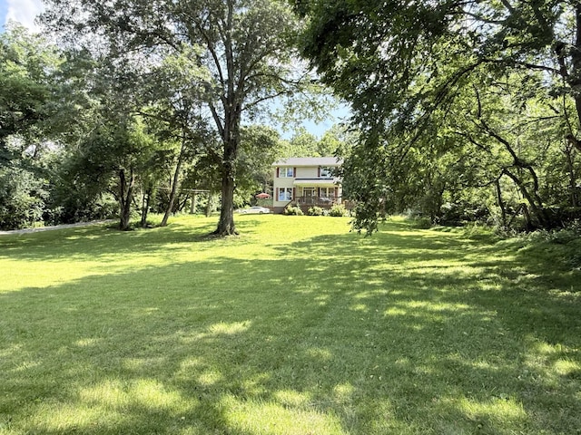 4417 Jackson Hollow Rd, Franklin, TN 37064 - view of green lawn