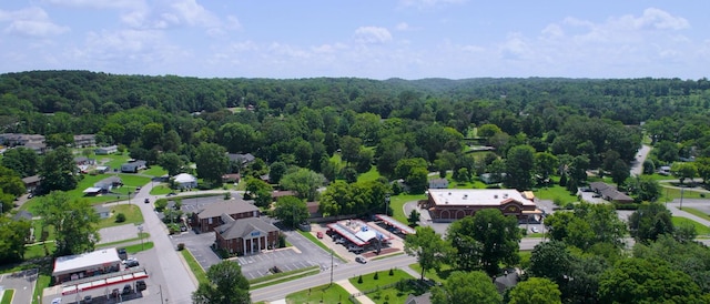 570 Main St S, Ashland City, TN 37015 - aerial view of a forest