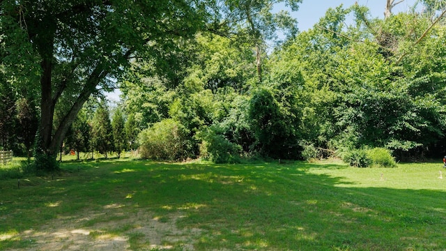 570 Main St S, Ashland City, TN 37015 - view of green lawn