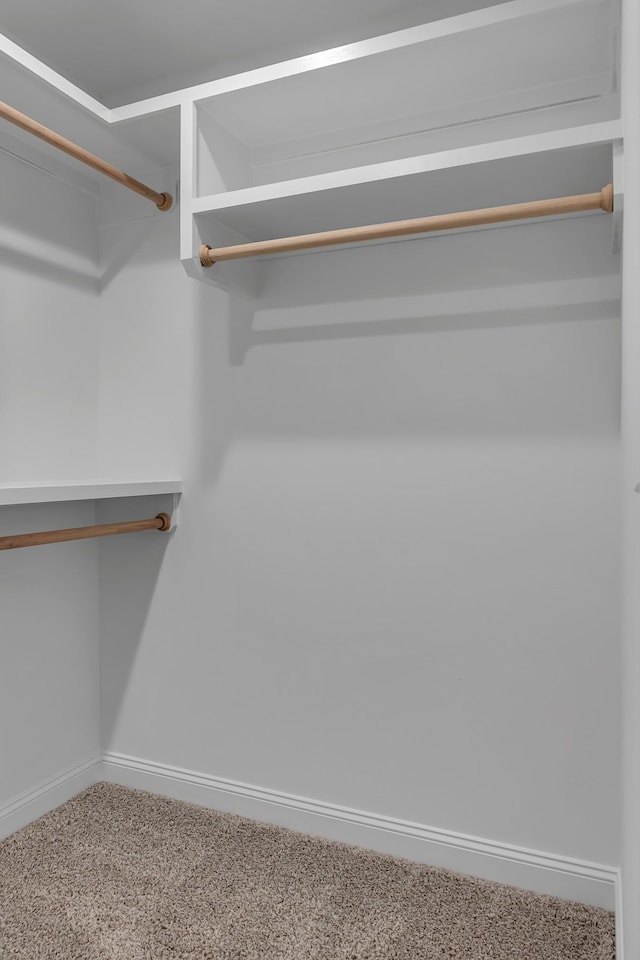 418 Stonemeadow Rd, Clarksville, TN 37043 - spacious closet with carpet floors