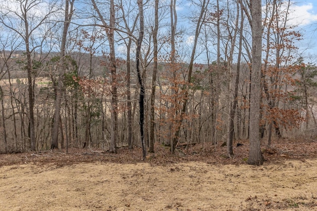 418 Stonemeadow Rd, Clarksville, TN 37043 - view of tree filled area