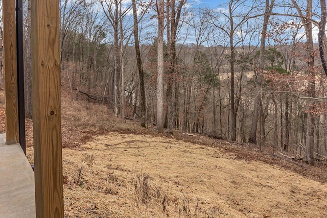 418 Stonemeadow Rd, Clarksville, TN 37043 - view of wooded area