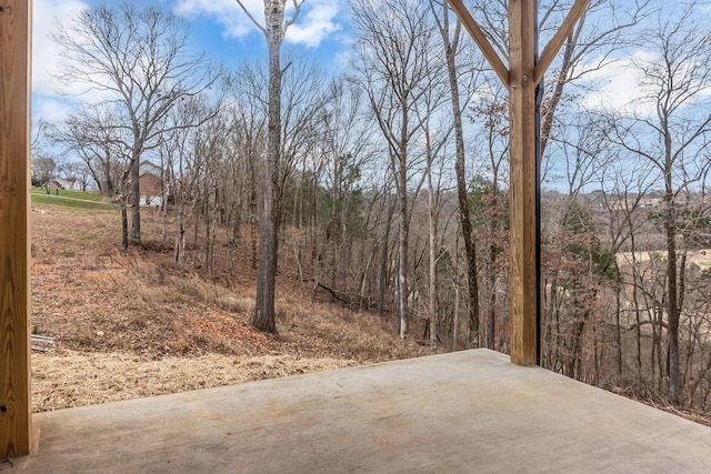 418 Stonemeadow Rd, Clarksville, TN 37043 - view of road