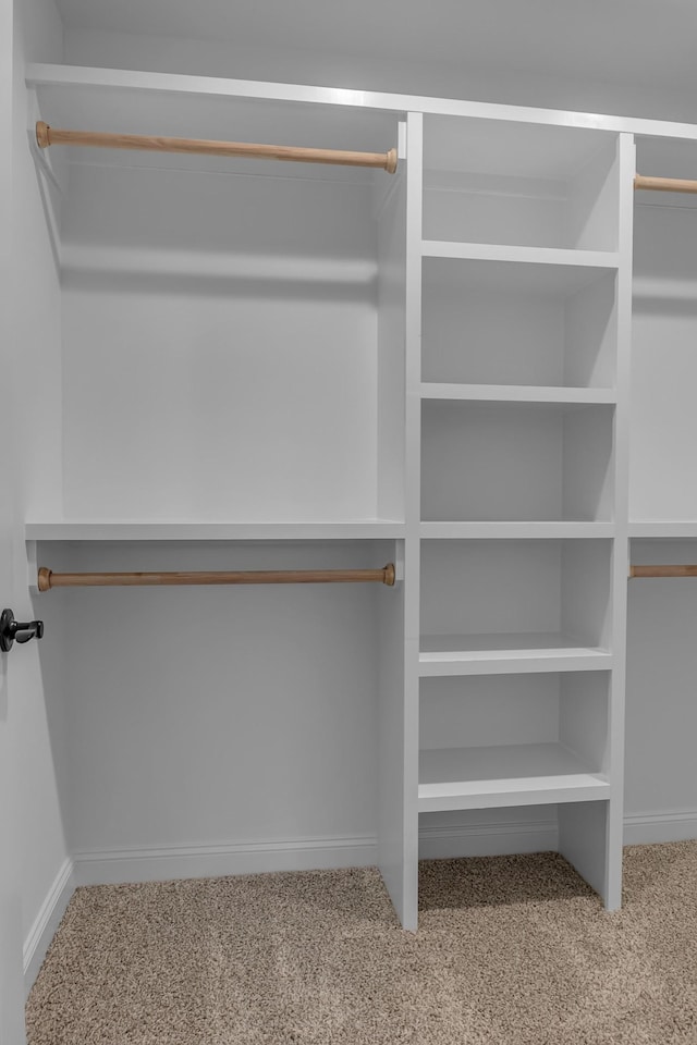 418 Stonemeadow Rd, Clarksville, TN 37043 - spacious closet featuring carpet floors