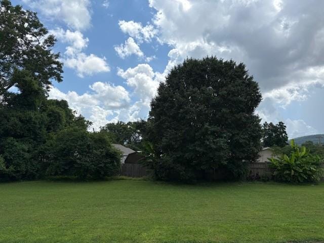102 Thorogood St, Cowan, TN 37318 - view of yard