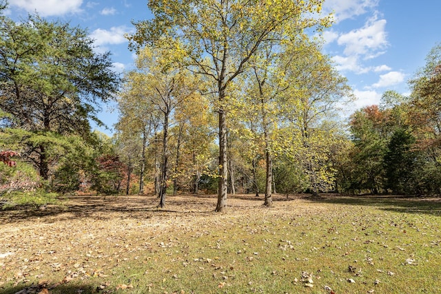 5743 Clarksville Pike, Joelton, TN 37080 - photo 34