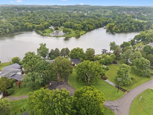 109 Shore Hill Cir, Hendersonville, TN 37075 - photo 69