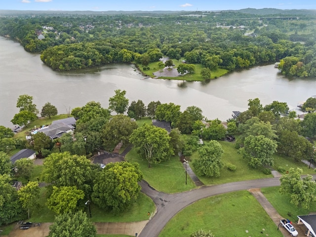 109 Shore Hill Cir, Hendersonville, TN 37075 - photo 60