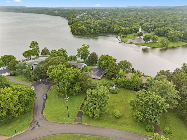 109 Shore Hill Cir, Hendersonville, TN 37075 - photo 70